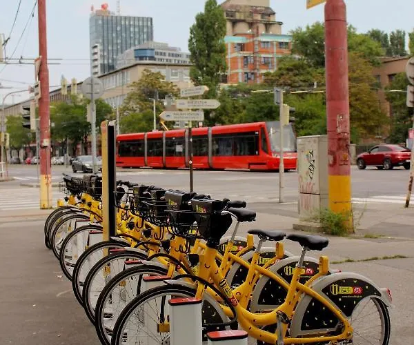 Beerhouse - Stein Pressburg