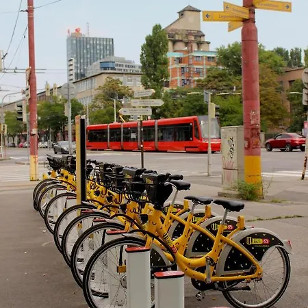 Beerhouse - Stein Bratislava